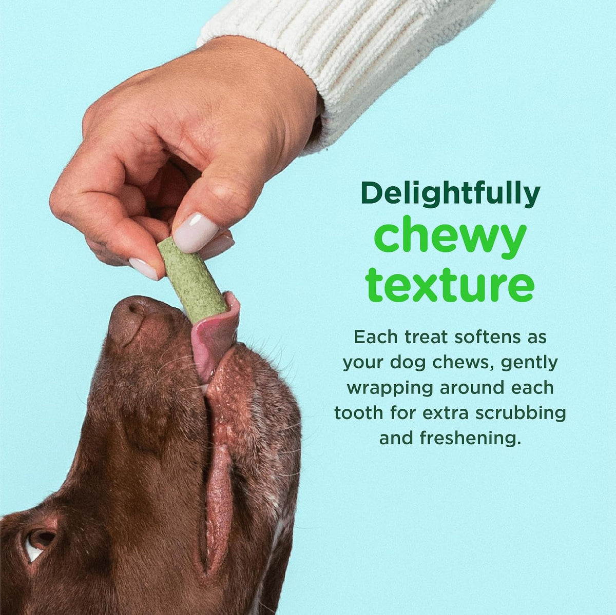Dog Dental Bone Treats, Tiny/Small Dental Dog Treats, 16 Ounces, Cleans Teeth, Fight Bad Breath, Removes Plaque and Tartar, 40 Count