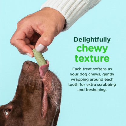 Dog Dental Bone Treats, Tiny/Small Dental Dog Treats, 16 Ounces, Cleans Teeth, Fight Bad Breath, Removes Plaque and Tartar, 40 Count