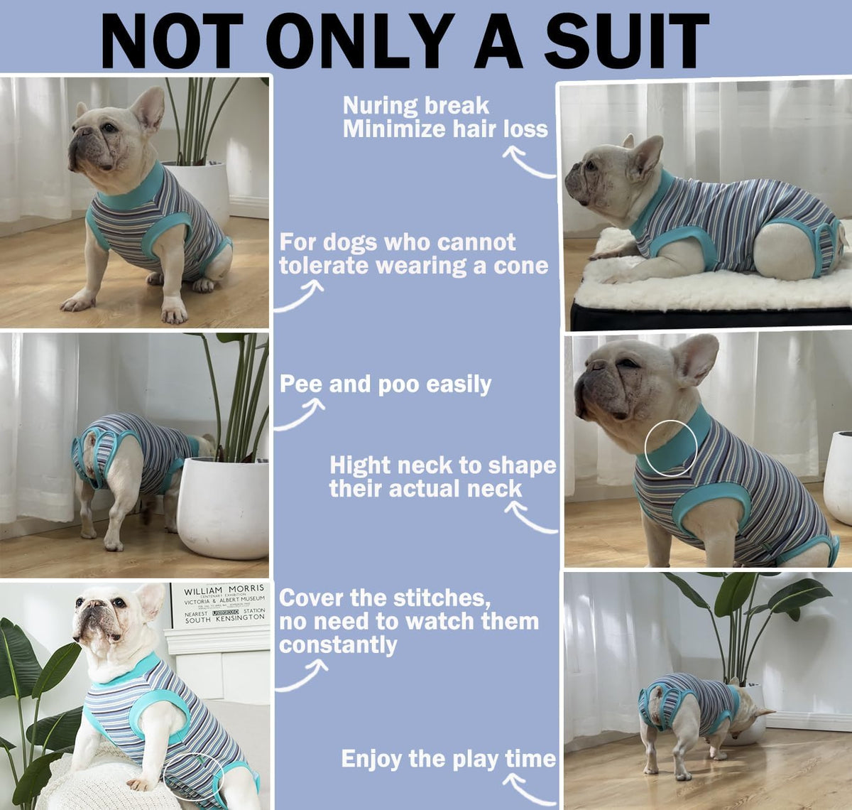Sebdtico Recovery Suit for Dogs,Dog Surgery Suit Female Spay,Soft Dog Onesie for Surgery Female,Dog Cone Alternative Surgical Recovery Suit Female,Abdominal Wounds Licking Anti Suit for Dogs