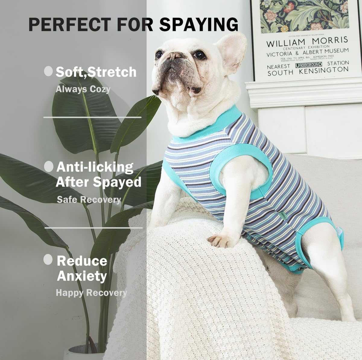 Sebdtico Recovery Suit for Dogs,Dog Surgery Suit Female Spay,Soft Dog Onesie for Surgery Female,Dog Cone Alternative Surgical Recovery Suit Female,Abdominal Wounds Licking Anti Suit for Dogs