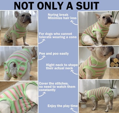 Sebdtico Recovery Suit for Dogs,Dog Surgery Suit Female Spay,Soft Dog Onesie for Surgery Female,Dog Cone Alternative Surgical Recovery Suit Female,Abdominal Wounds Licking Anti Suit for Dogs