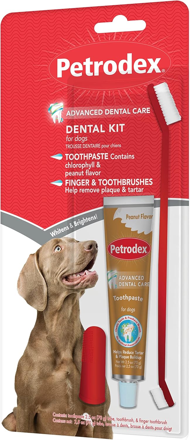 Dog Dental Care Kit, Toothbrush & Toothpaste, Peanut, 2.5oz | Complete oral care kit: toothpaste + toothbrush; reduces plaque & tartar; fights bad breath; peanut flavor, dogs & puppies