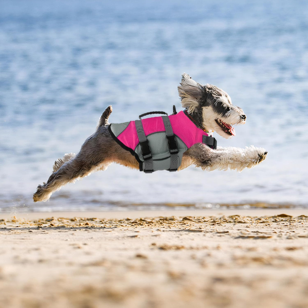 Dog Life Jacket, Reflective Adjustable Dog Life Vest with Rescue Handle for Swimming and Boating, Ripstop Pet Safety Life Preserver for Small, Medium and Large Dogs