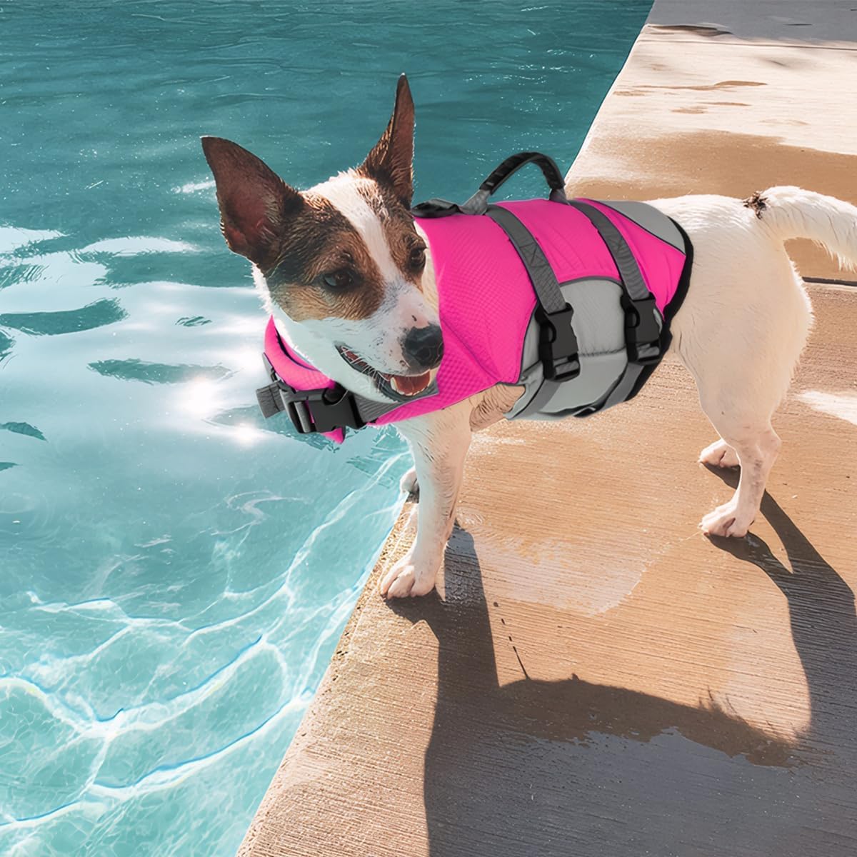 Dog Life Jacket, Reflective Adjustable Dog Life Vest with Rescue Handle for Swimming and Boating, Ripstop Pet Safety Life Preserver for Small, Medium and Large Dogs