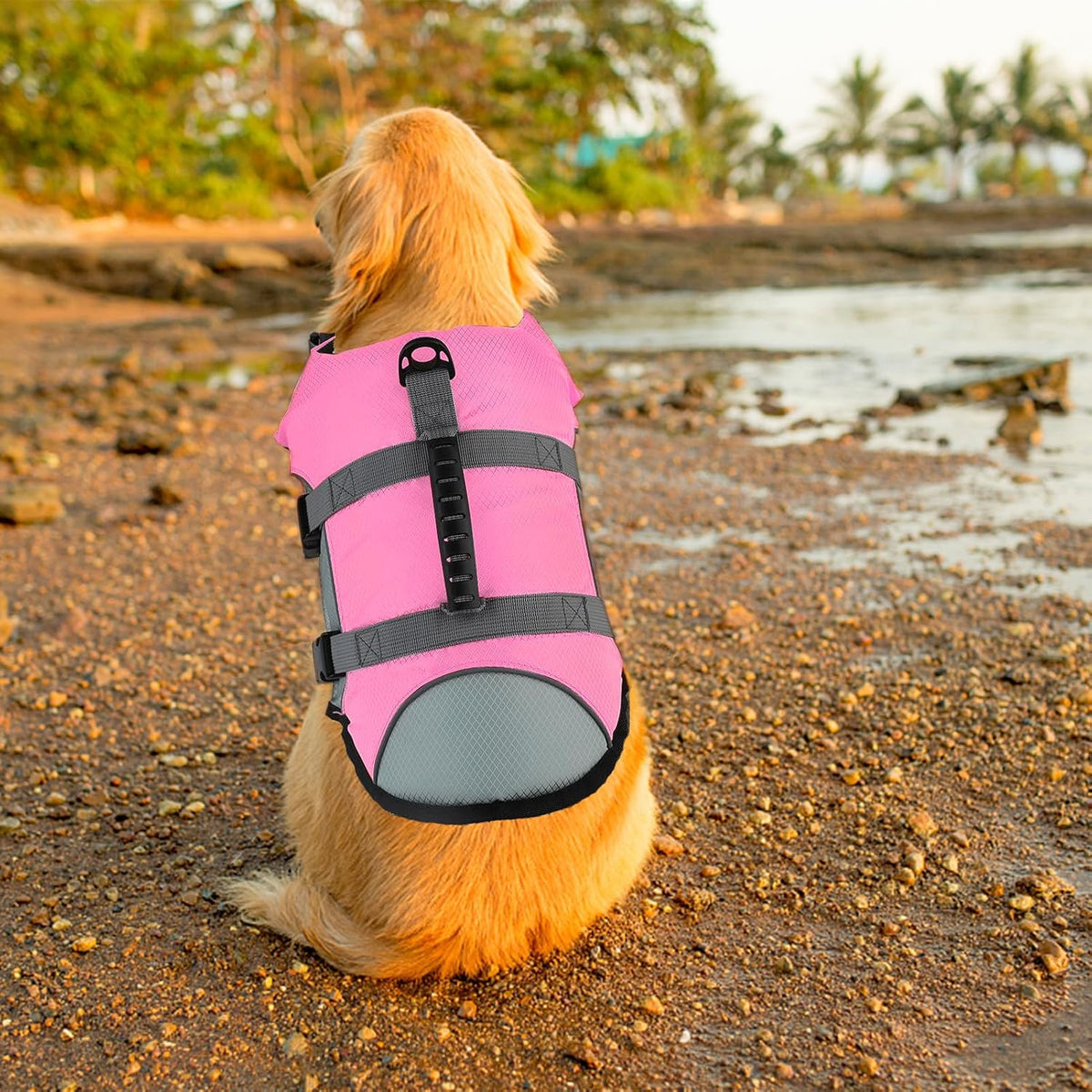 Dog Life Jacket, Reflective Adjustable Dog Life Vest with Rescue Handle for Swimming and Boating, Ripstop Pet Safety Life Preserver for Small, Medium and Large Dogs
