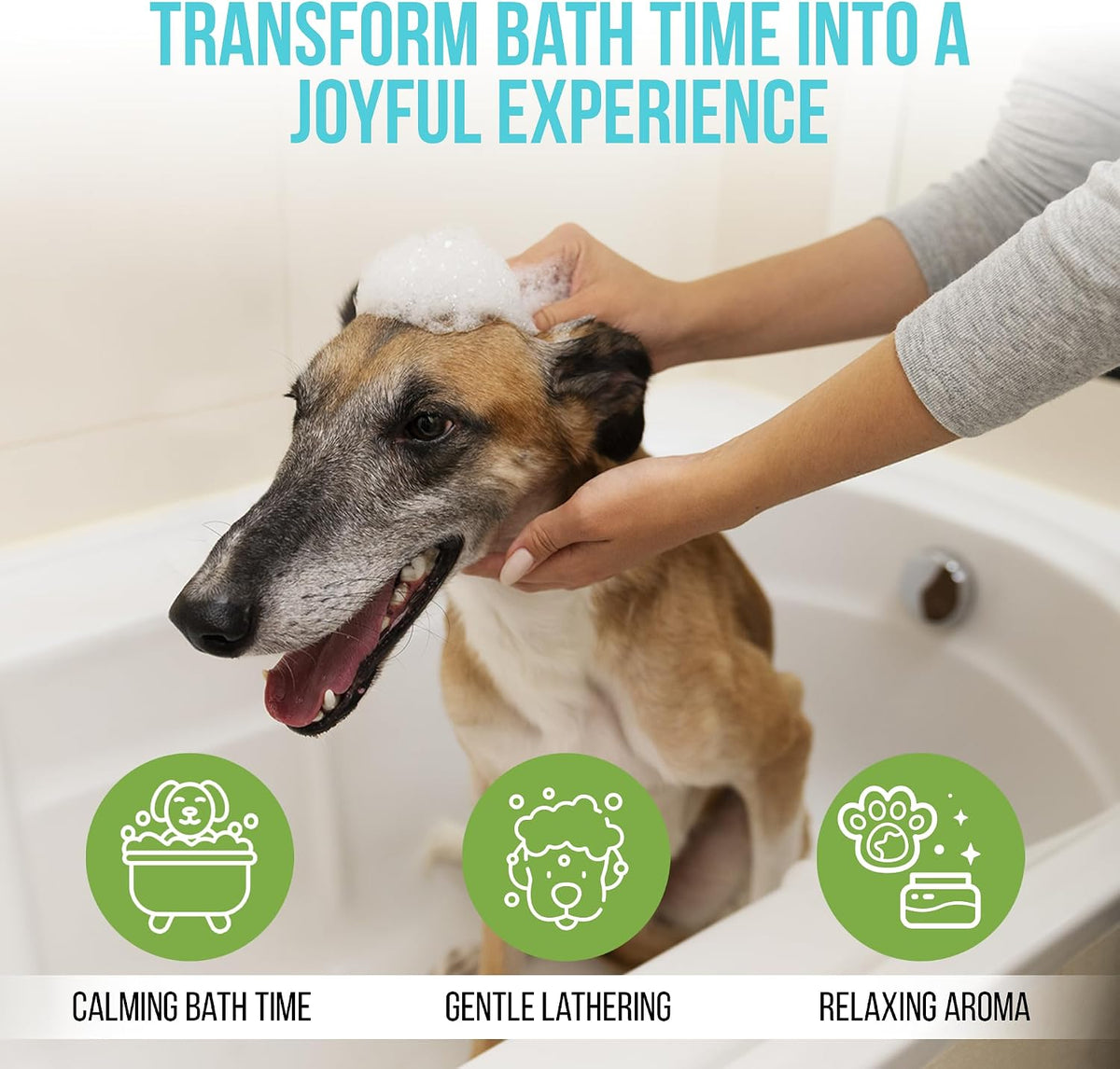 Hypoallergenic Shampoo with Aloe & Oatmeal for Dogs - Moisturizing Dog Shampoo and Ultra-Nourishing Care for Dry, Itchy, and Sensitive Skin - 16.9 oz