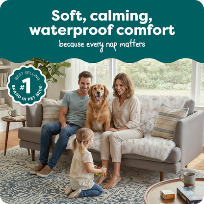 Waterproof Throw Blanket for Dogs & Indoor Cats, Washable - Shaggy Plush Calming Long Faux Fur & Velvet Dog Blanket - Gray, Large