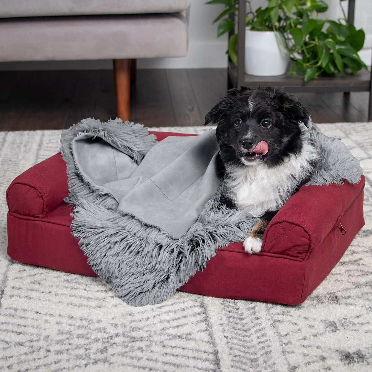 Waterproof Throw Blanket for Dogs & Indoor Cats, Washable - Shaggy Plush Calming Long Faux Fur & Velvet Dog Blanket - Gray, Large