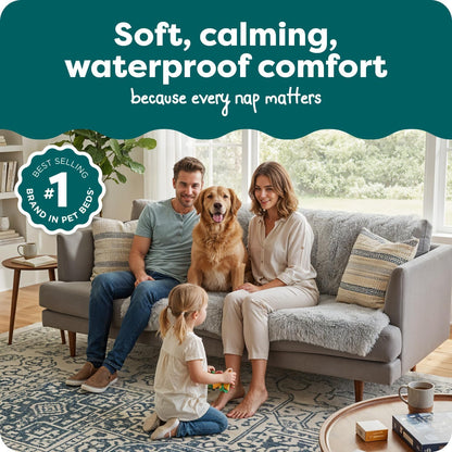 Waterproof Throw Blanket for Dogs & Indoor Cats, Washable - Shaggy Plush Calming Long Faux Fur & Velvet Dog Blanket - Gray, Large