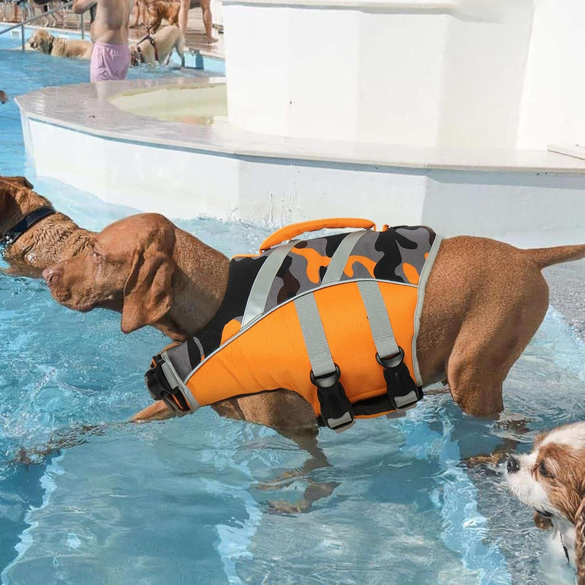 Reflective Dog Life Jacket, Dog Life Vest for Swimming Boating