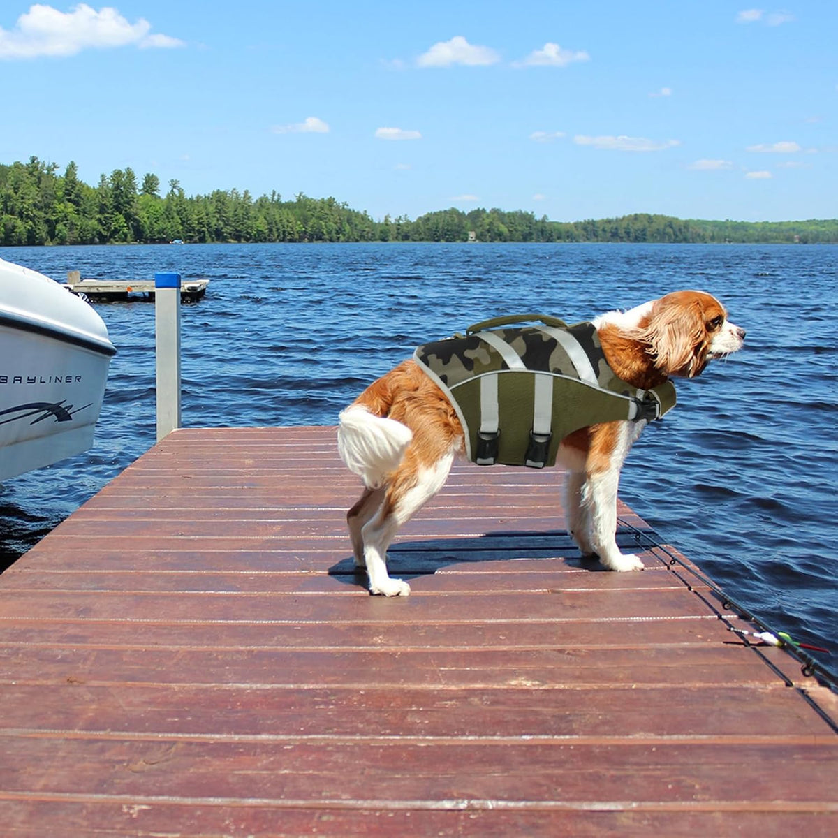 Reflective Dog Life Jacket, Dog Life Vest for Swimming Boating