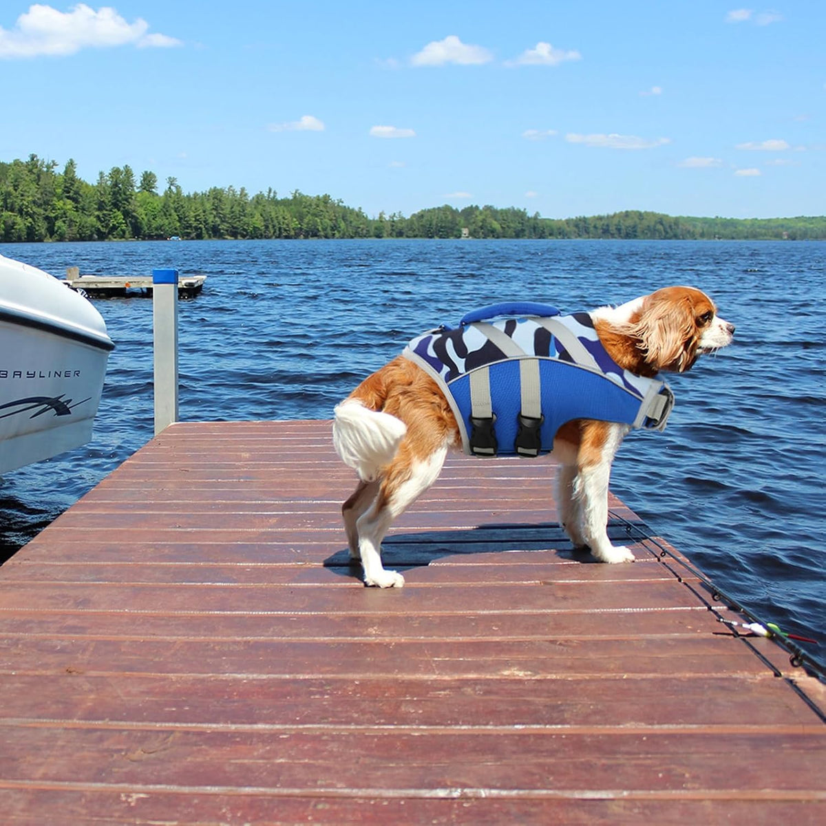 Reflective Dog Life Jacket, Dog Life Vest for Swimming Boating