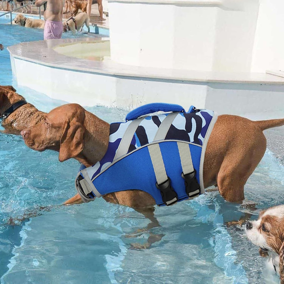 Reflective Dog Life Jacket, Dog Life Vest for Swimming Boating