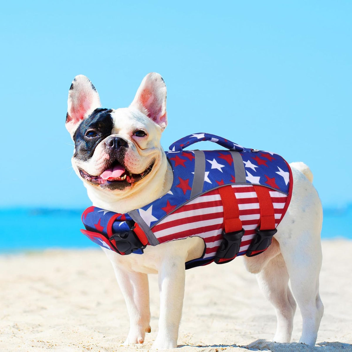 Reflective Dog Life Jacket, Dog Life Vest for Swimming Boating