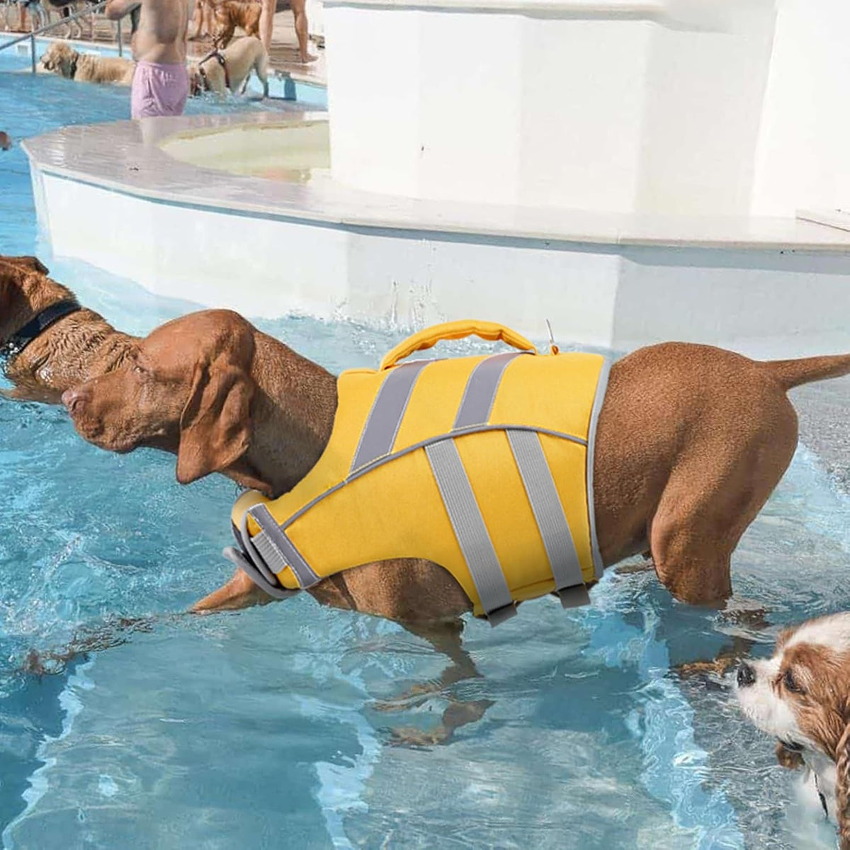 Reflective Dog Life Jacket, Dog Life Vest for Swimming Boating