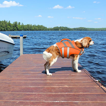 Reflective Dog Life Jacket, Dog Life Vest for Swimming Boating