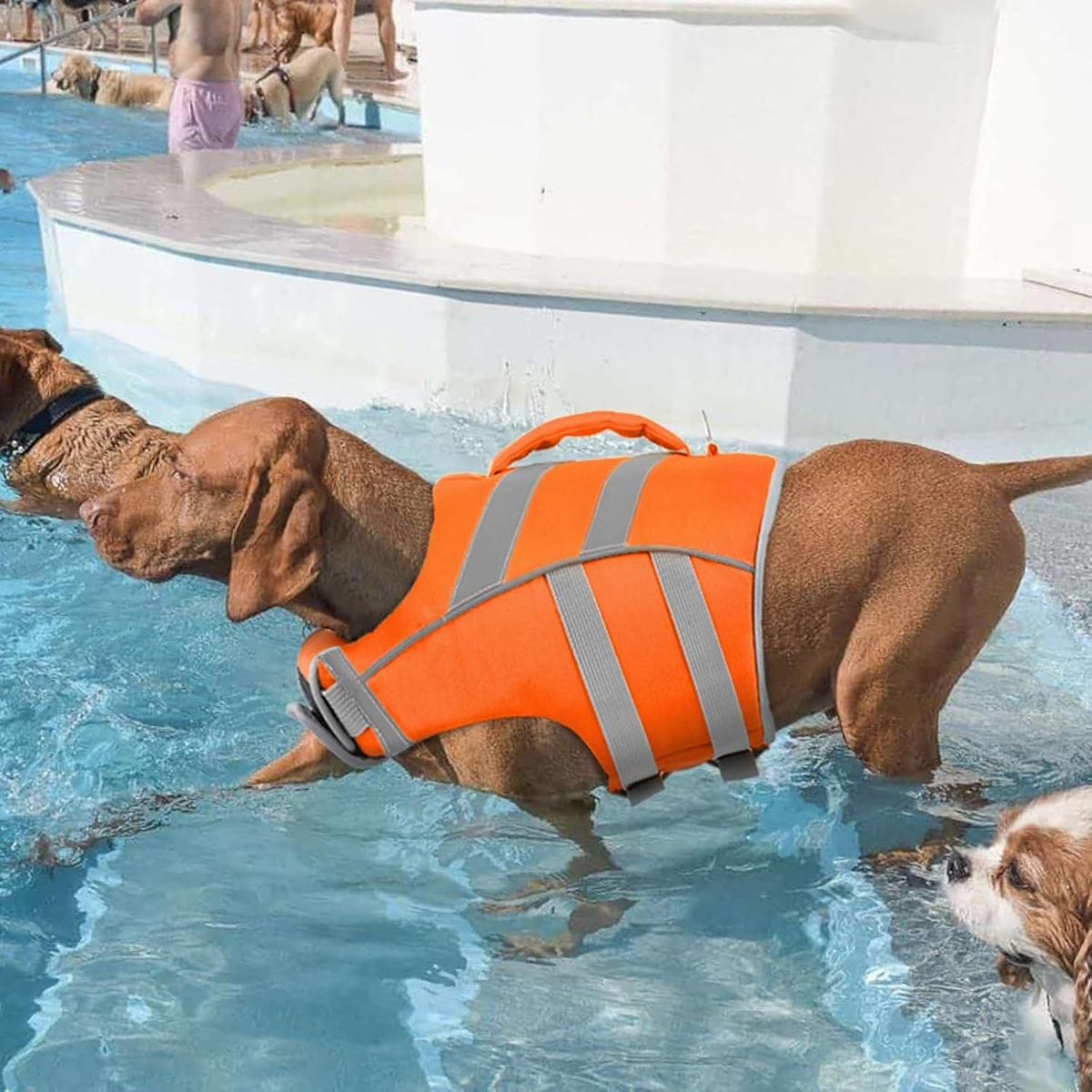 Reflective Dog Life Jacket, Dog Life Vest for Swimming Boating