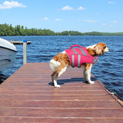 Reflective Dog Life Jacket, Dog Life Vest for Swimming Boating