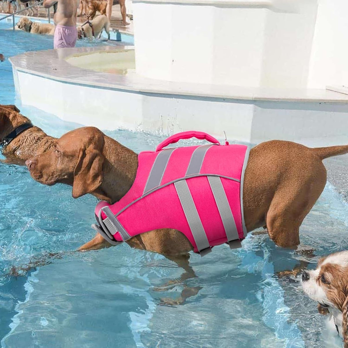 Reflective Dog Life Jacket, Dog Life Vest for Swimming Boating
