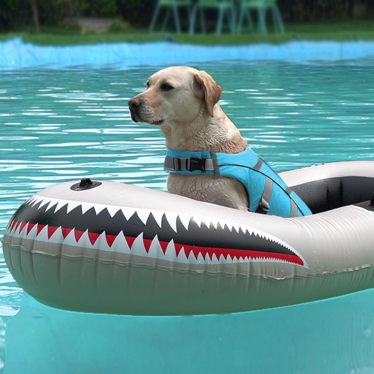 Reflective Dog Life Jacket, Dog Life Vest for Swimming Boating
