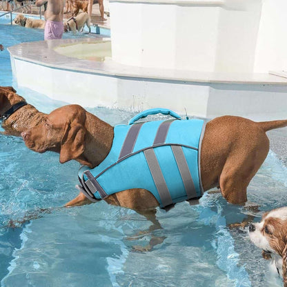 Reflective Dog Life Jacket, Dog Life Vest for Swimming Boating