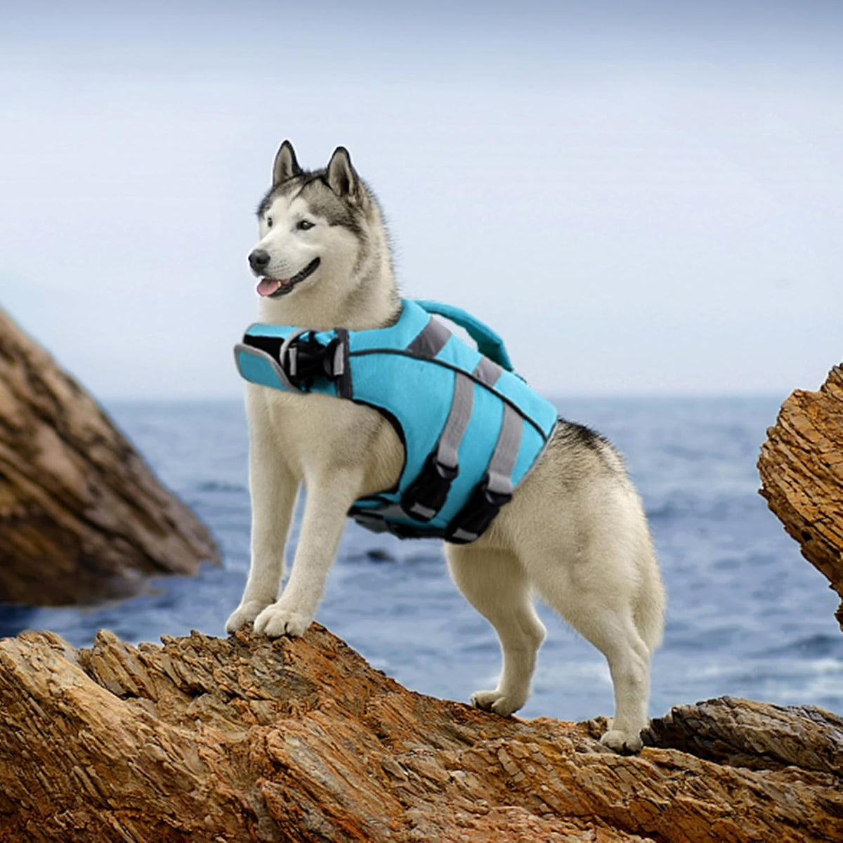 Reflective Dog Life Jacket, Dog Life Vest for Swimming Boating