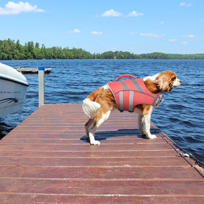 Reflective Dog Life Jacket, Dog Life Vest for Swimming Boating