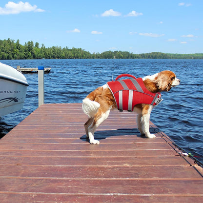 Reflective Dog Life Jacket, Dog Life Vest for Swimming Boating