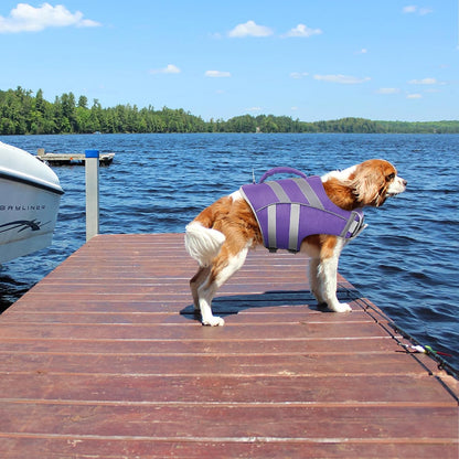 Reflective Dog Life Jacket, Dog Life Vest for Swimming Boating