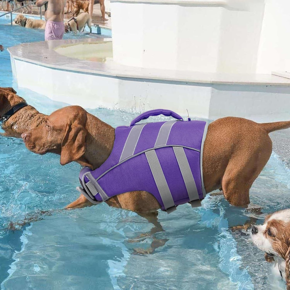 Reflective Dog Life Jacket, Dog Life Vest for Swimming Boating