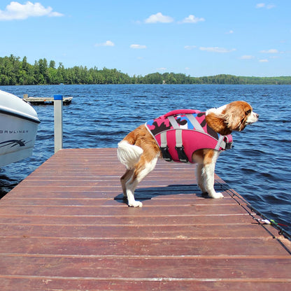 Reflective Dog Life Jacket, Dog Life Vest for Swimming Boating