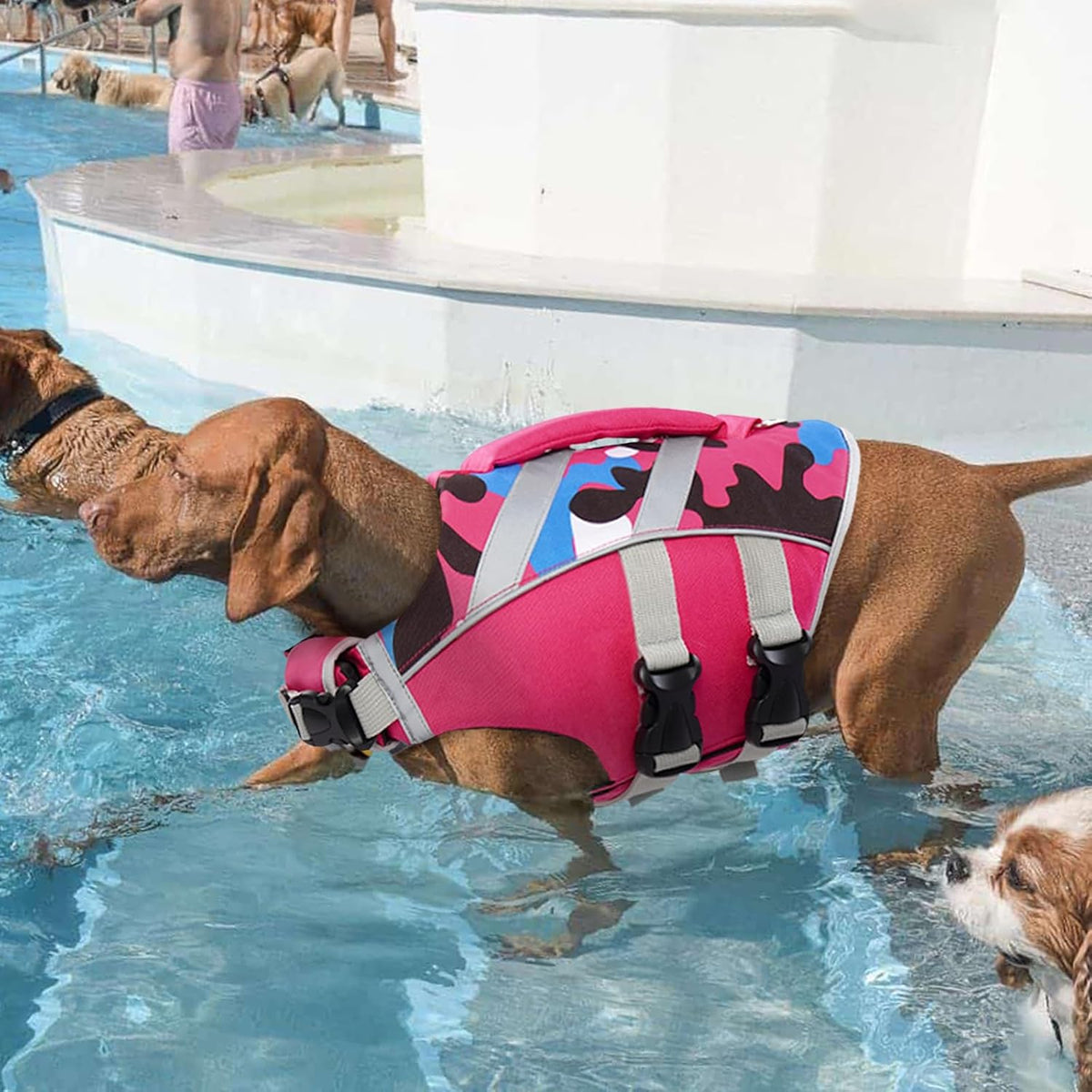 Reflective Dog Life Jacket, Dog Life Vest for Swimming Boating