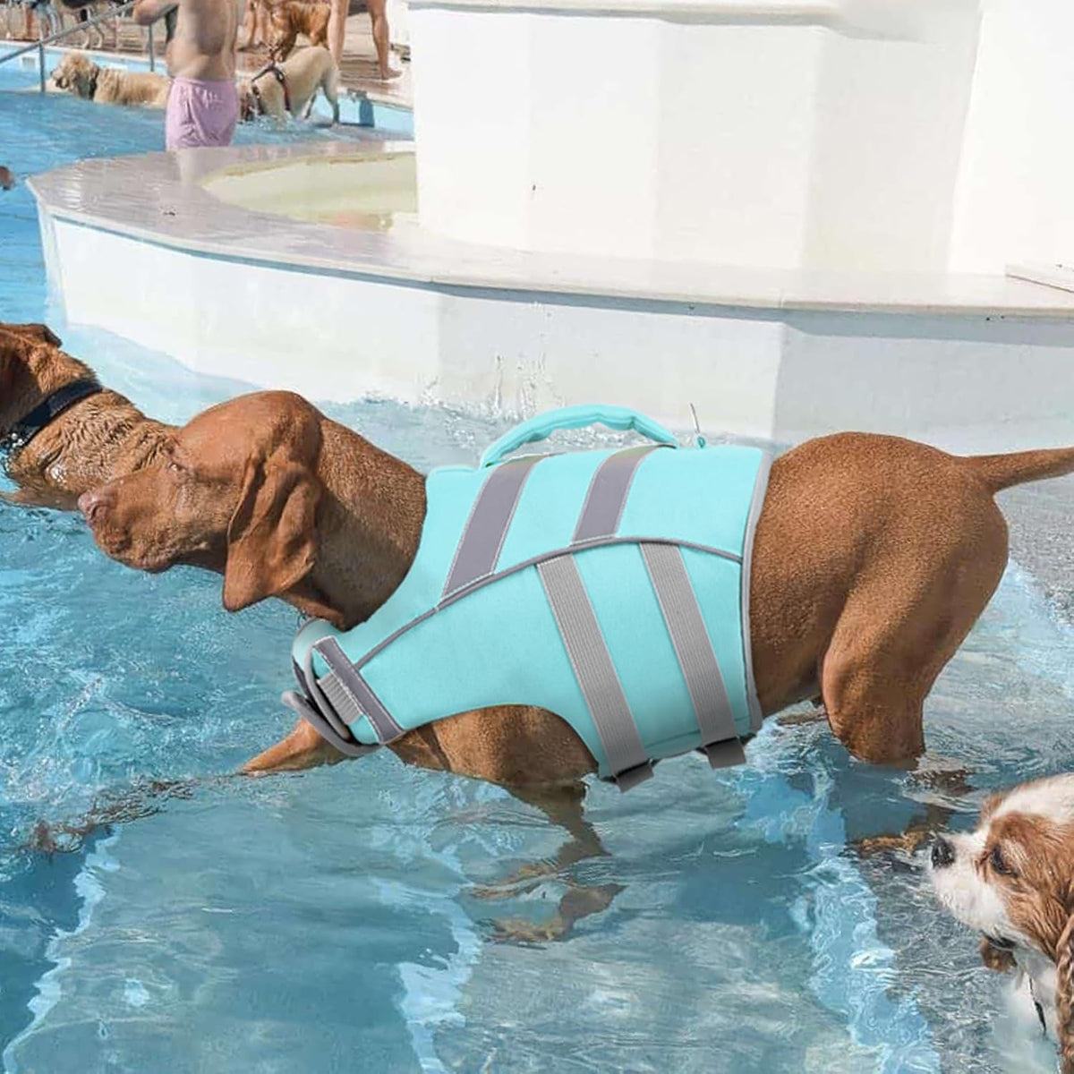 Reflective Dog Life Jacket, Dog Life Vest for Swimming Boating