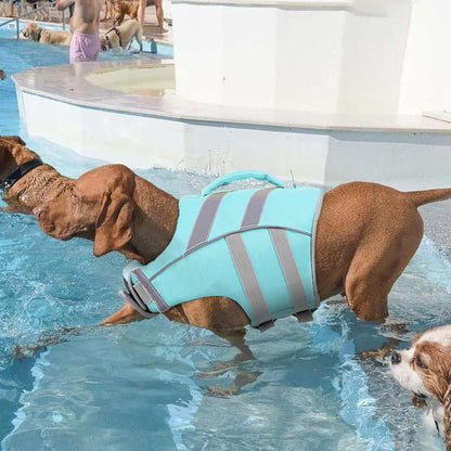 Reflective Dog Life Jacket, Dog Life Vest for Swimming Boating
