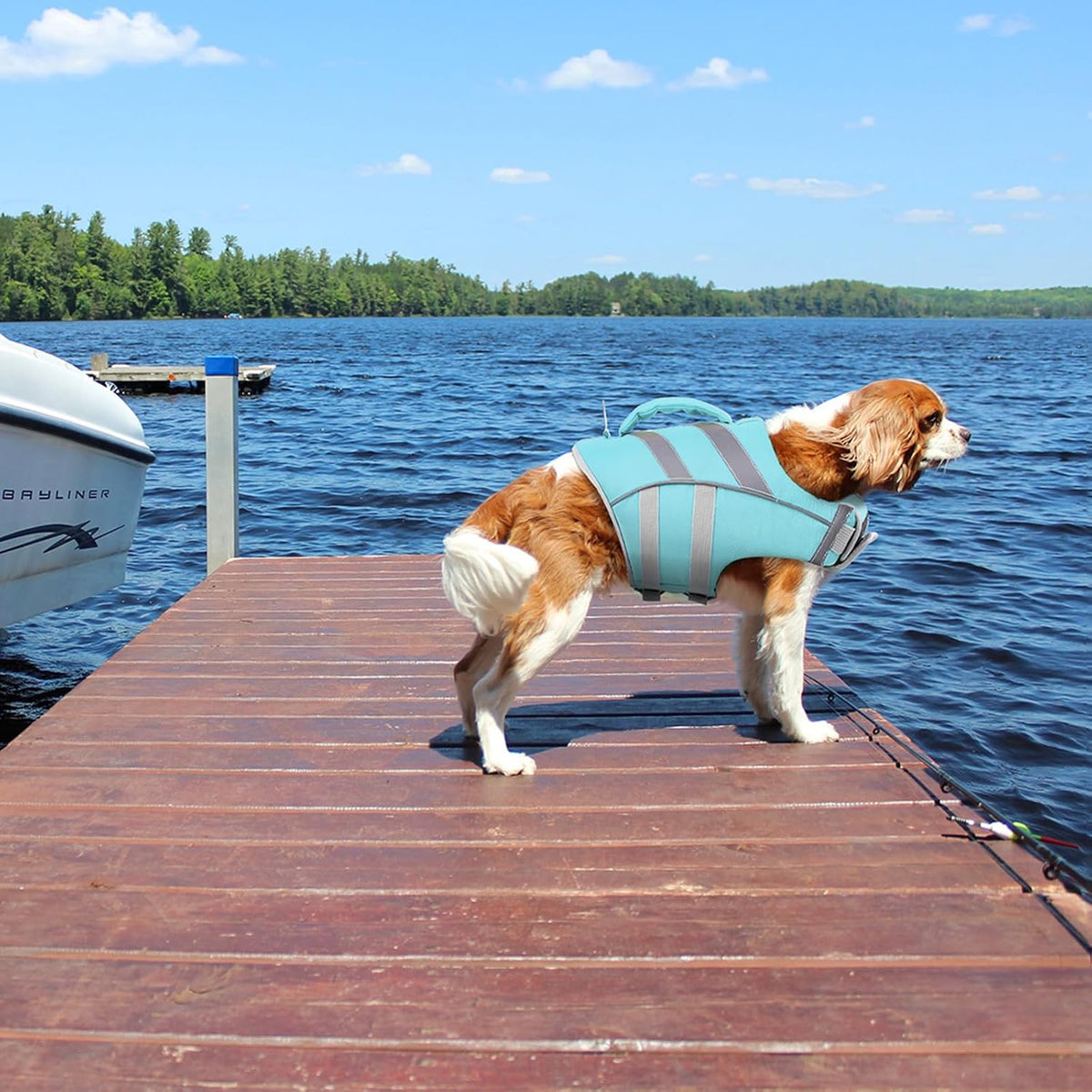 Reflective Dog Life Jacket, Dog Life Vest for Swimming Boating