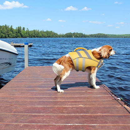 Reflective Dog Life Jacket, Dog Life Vest for Swimming Boating