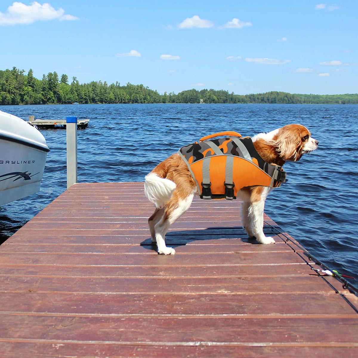 Reflective Dog Life Jacket, Dog Life Vest for Swimming Boating
