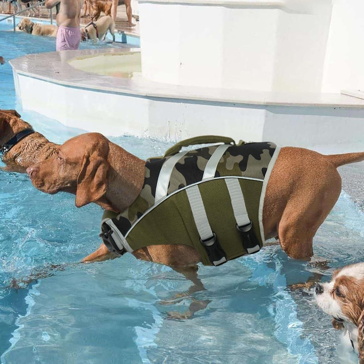 Reflective Dog Life Jacket, Dog Life Vest for Swimming Boating