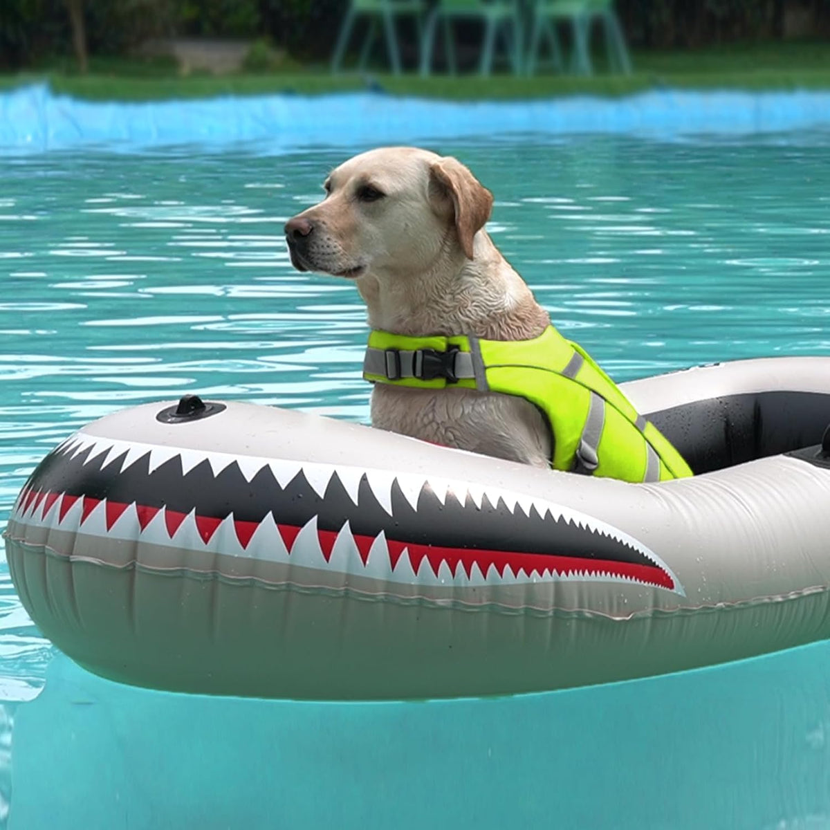 Reflective Dog Life Jacket, Dog Life Vest for Swimming Boating