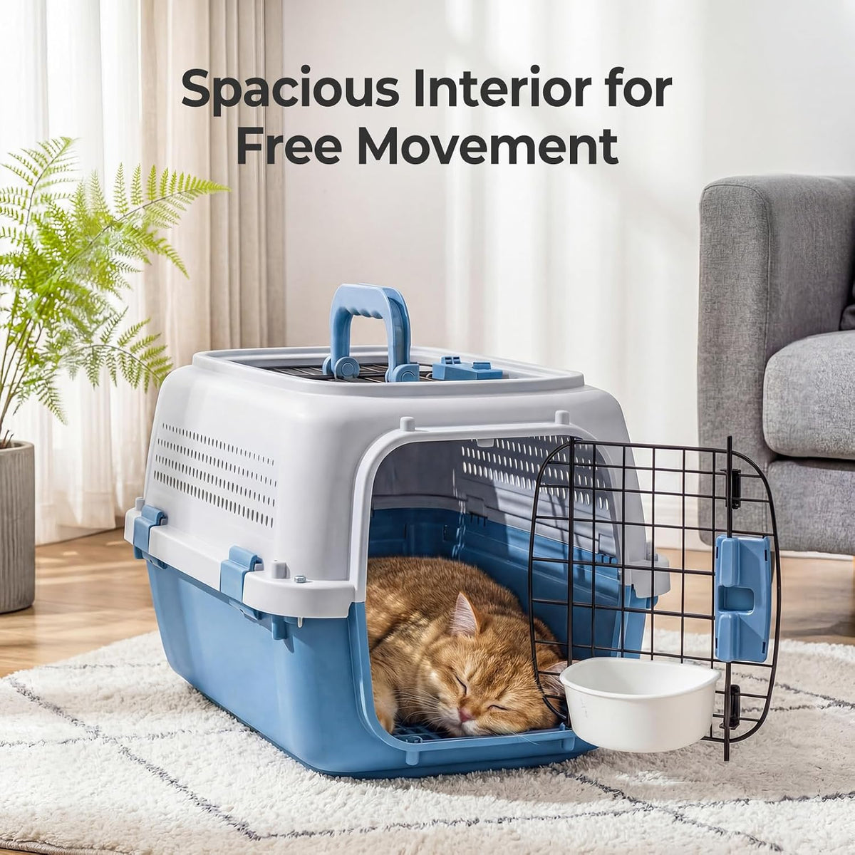 23" Hard-Sided Dog Carrier for Small Dogs & Cats, Grey & Blue