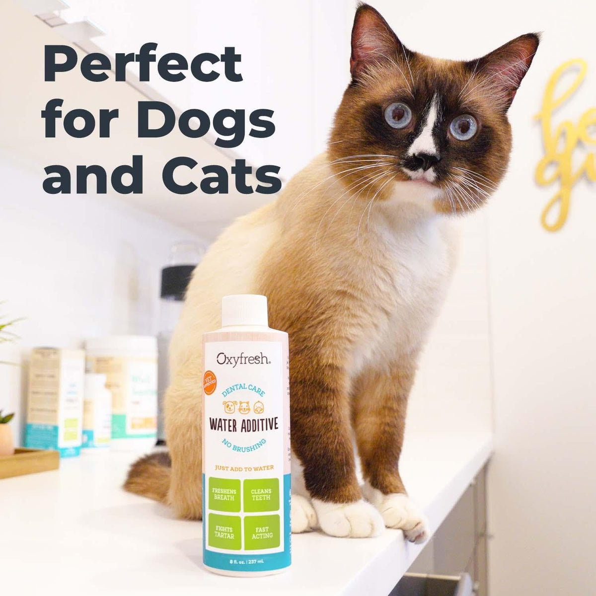 Premium Pet Dental Care Solution Pet Water Additive: Best Way to Eliminate Bad Dog Breath and Cat Bad Breath - Fights Tartar & Plaque - So Easy, Just Add to Water! Vet Recommended 16 oz.