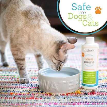 Premium Pet Dental Care Solution Pet Water Additive: Best Way to Eliminate Bad Dog Breath and Cat Bad Breath - Fights Tartar & Plaque - So Easy, Just Add to Water! Vet Recommended 16 oz.