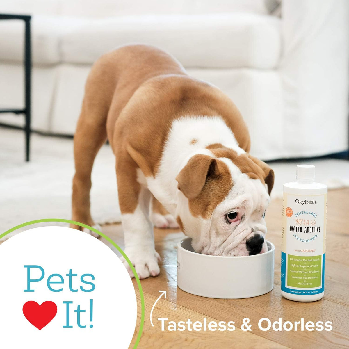 Premium Pet Dental Care Solution Pet Water Additive: Best Way to Eliminate Bad Dog Breath and Cat Bad Breath - Fights Tartar & Plaque - So Easy, Just Add to Water! Vet Recommended 16 oz.