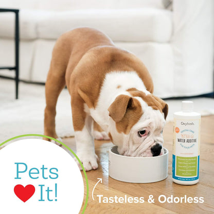 Premium Pet Dental Care Solution Pet Water Additive: Best Way to Eliminate Bad Dog Breath and Cat Bad Breath - Fights Tartar & Plaque - So Easy, Just Add to Water! Vet Recommended 16 oz.