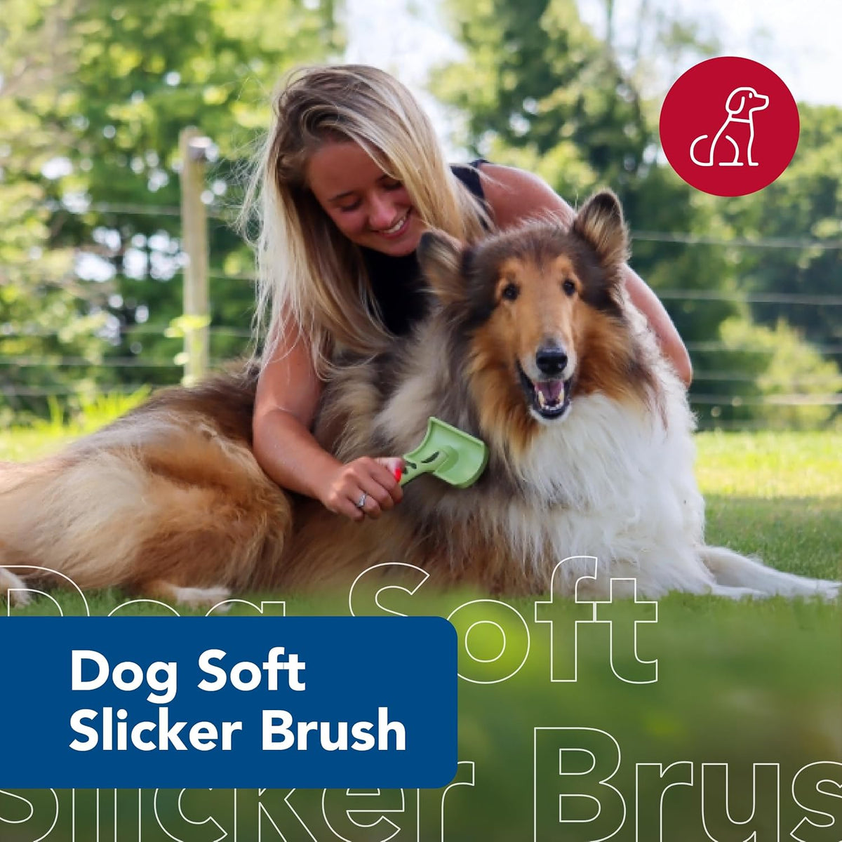 Safari Dog Soft Slicker Brush - Dog Grooming Brush for Shedding - for Dogs with Short, Medium and Long Hair - Small - 6.5" x 2.5"