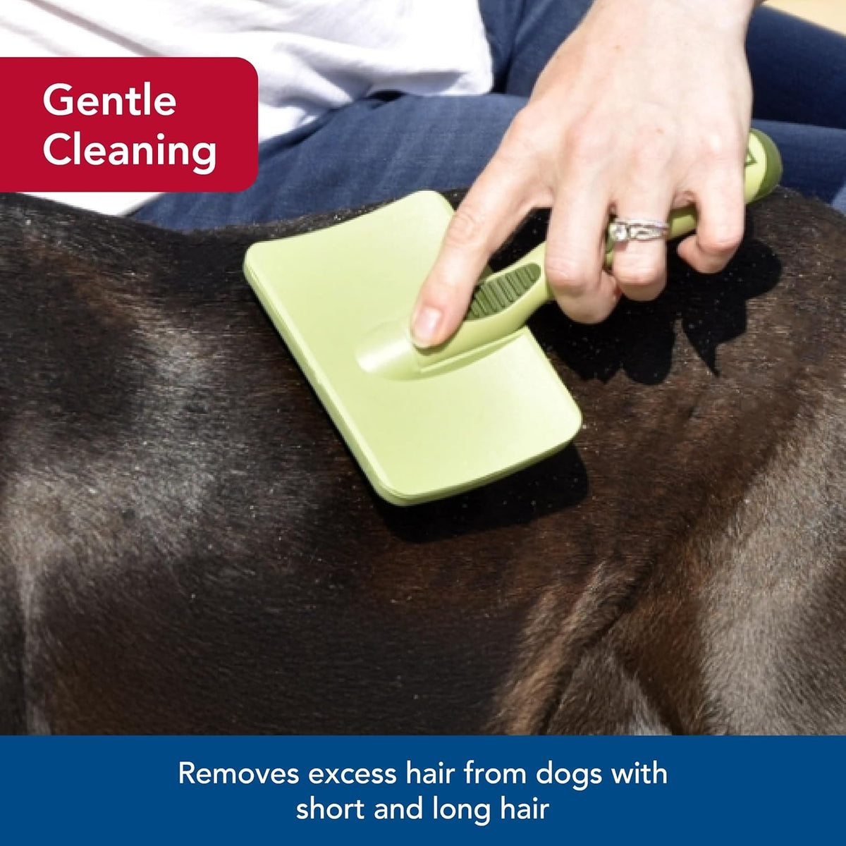 Safari Dog Soft Slicker Brush - Dog Grooming Brush for Shedding - for Dogs with Short, Medium and Long Hair - Small - 6.5" x 2.5"