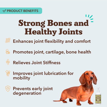 Liquid Glucosamine Hip & Joint Oil for Dogs, 16 oz, Extra Strength Cartilage & Joint Support, Helps Mobility and Eases Occasional Stiffness, Dog Vitamins & Supplements