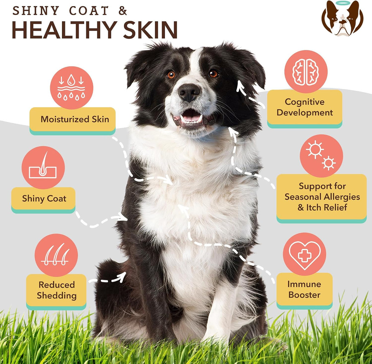 Liquid Glucosamine Hip & Joint Oil for Dogs, 16 oz, Extra Strength Cartilage & Joint Support, Helps Mobility and Eases Occasional Stiffness, Dog Vitamins & Supplements