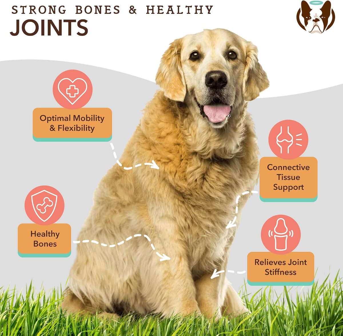 Liquid Glucosamine Hip & Joint Oil for Dogs, 16 oz, Extra Strength Cartilage & Joint Support, Helps Mobility and Eases Occasional Stiffness, Dog Vitamins & Supplements