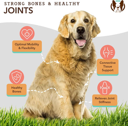 Liquid Glucosamine Hip & Joint Oil for Dogs, 16 oz, Extra Strength Cartilage & Joint Support, Helps Mobility and Eases Occasional Stiffness, Dog Vitamins & Supplements